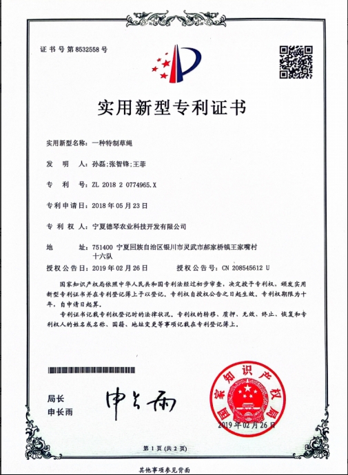 宁夏国产蜜桃TV在线高潮视频子