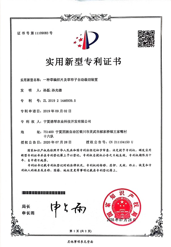 宁夏蜜桃AV在线免费观看子